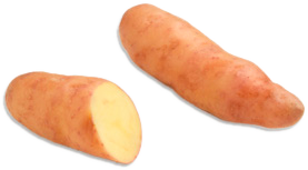 Corne de Gâtes