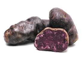 Vitelotte